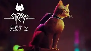 STRAY PC Walkthrough Gameplay Part 2 - MOMO (FULL GAME)