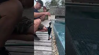 Using a Motion Activated Sprinkler to protect your pool or yard is easy!