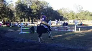 Hidden Hills Farm Jumpers Class