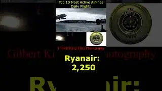 Life Examined: Top 10 Active Airlines By Daily Flights