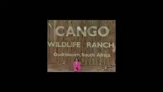 South Africa tour -24 | Day-6 | ca￼ngo Wildlife Ranch #George # #travel #southafrica #minivlog #yt