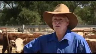 Australian Kangaroo Harvesting Industry