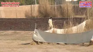 25 26 27 Jan 2020 day 1 chak 82 coursing race
