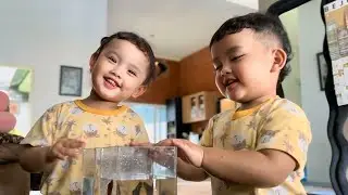 BELUM ADA SATU JAM !!! AQUARIUM CUPANGNYA SI KEMBAR PECAH 🤣