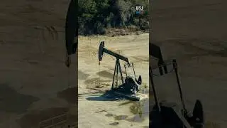 Why Oil Prices Fell Following Trump Victory
