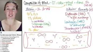 Blood 4- Components
