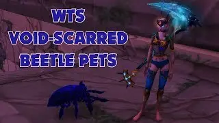 WoW BfA - 8.3 WTS Void-Scarred Beetle Pets - Lesser Visions drop