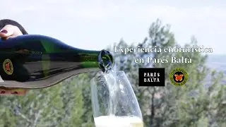 Enotourism | Par&eacute;s Balt&agrave;