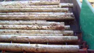 Log Step Feeder