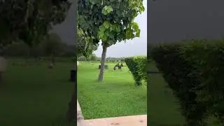Eco garden park lucknow