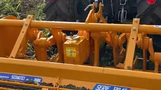 Vangatrice selvatici su erba alta, trattore Lamborghini R1 55
