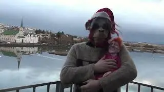 Christmas greeting from Jon Gnarr the mayor of Reykjavik