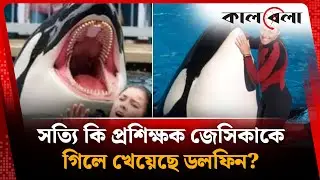 সত্যি কি প্রশিক্ষক জেসিকাকে গিলে খেয়েছে ডলফিন? | Jesika Incident | Kalbela