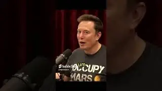 Politics Are a Scam 😮😯 #podcast #joerogan