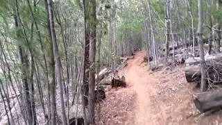 The Bushtunnel during Alien Clearing