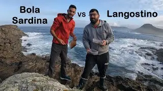 Sargos de 1 kg con bola de sardina y langostino. Zona de Soesto, Laxe, Costa da Morte.