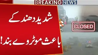 Heavy Fog Disrupts Travel: Motorway Closed | Breaking News | Public News