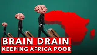 From Slave Trade to Brain Drain - The Damaging Effects of Brain Drain in Africa