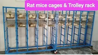 Innovative Rat and Mice Cages | Laboratory Animal Housing Solutions | Crocus Scientific