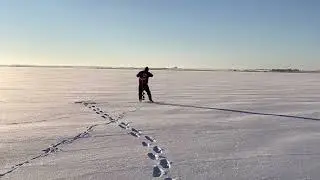 ❄️November 2022 Alberta ice thickness report!❄️ #icefishing #fishingalberta