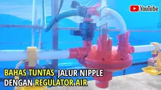 Explanation Nipple type broiler drinking place using a water regulator