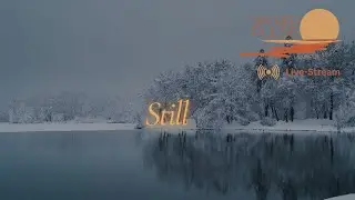 Sacred Pulse December 20 Live-Stream