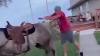 Patada de caballo