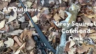 GREY SQUIRREL HUNT AND COOK! (SURPRISING)