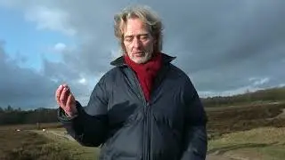 De Gooise Hondencoach: Portret van Limme, de man achter De Gooise Hondencoach