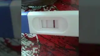 Minha primeira ecographia