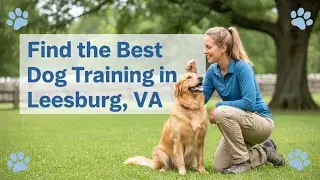 Find the Best Dog Training in Leesburg   VA Virginia