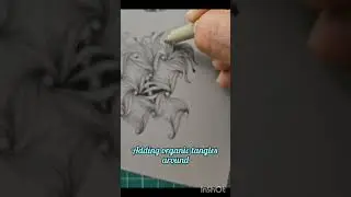 Zentangle - Tangle Cadent Variation 3