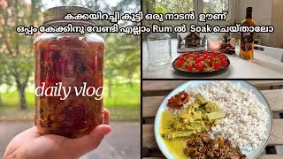 Daily vlog| കക്കയിറച്ചി കൂട്ടി ഒരു നാടൻ  ഊണ്| കേക്കിനുവേണ്ടി എല്ലാം Rum ൽ Soak ചെയ്താലോ