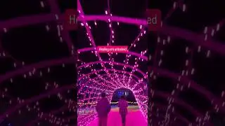 Walking through this pink tunnel felt like walking into a softer version of myself