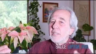 Bruce Lipton - How Stress Affects the Immune System and Creates Illness