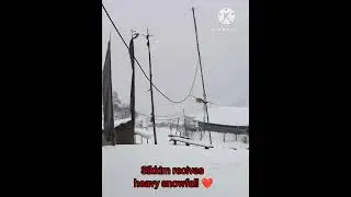 Sikkim Receives heavy Snowfall #sikkim #sikkimsnowfall #sikkimtour #snow #snowfall