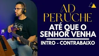 Intro At&eacute; que o Senhor Venha AD Bras Pq. Peruche