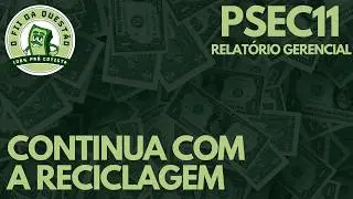 PSEC11 - TEM R$ 0,33 DE LUCRO PARA DESTRAVAR