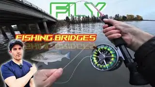 Fly Fishing BRIDGES for Striped Bass! (Prince Edward Island, Canada)
