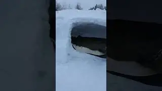 Grilling and Extreme Winter Camping in Igloo