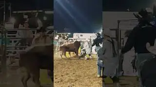 Lawrenceburg, TN Rodeo AUGUST 24th at Rockin' K Rodeo Productions - BuckWild Bucking Stock