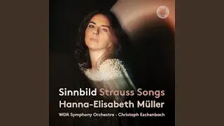 5 Lieder, Op. 48, TrV 202: No. 4, Winterweihe (Version for Soprano & Orchestra)