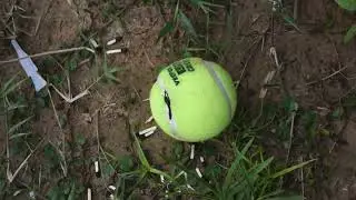 BURNING Tennis Ball 🥎🥎with The Help of Petrol ⛽ || टेनिस बॉल को जलाना 🥎🥎पेट्रोल की मदद से || Inside