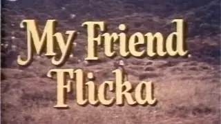 My Friend Flicka 02 of 39 - Blind Faith