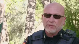 Former Morrison police chief, sergeant offered severance after resigning while under investigation