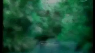 Deep Forest - Forest Hymn