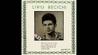 LIVIU BECICHI