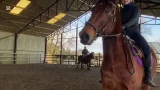 No stirrups riding exam #4