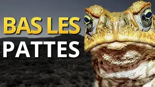 Quand La Nature Distribue des Gifles Empoisonn&eacute;es