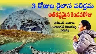 3 Days Mount Kailash Parikrama | Hardest Second day | Vijji Windows,#travel 